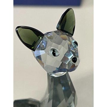 SCULTURA CRISTALLO SWAROVSKY Lovlots House of Cats Ines GATTO SIAMESE CRYSTAL