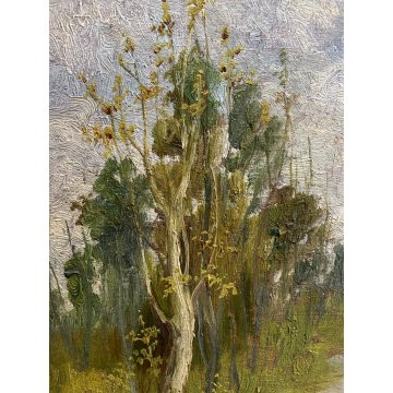 ANTICO PICCOLO DIPINTO OLIO N. Laurenti PAESAGGIO PIANURA SENTIERO SELVA 1931