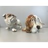SCULTURA CERAMICA Cacciapuoti S. Righetti COPPIA CANI BULLDOG BASSET HOUND '50