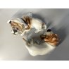 SCULTURA CERAMICA Cacciapuoti S. Righetti COPPIA CANI BULLDOG BASSET HOUND '50