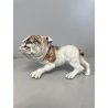 SCULTURA CERAMICA Cacciapuoti S. Righetti COPPIA CANI BULLDOG BASSET HOUND '50