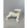 SCULTURA CERAMICA Cacciapuoti S. Righetti COPPIA CANI BULLDOG BASSET HOUND '50