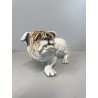 SCULTURA CERAMICA Cacciapuoti S. Righetti COPPIA CANI BULLDOG BASSET HOUND '50