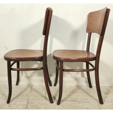 Fischel SET 6 SEDIA ANTICA LEGNO Stampato FAGGIO CURVATO tipo Thonet CHAIR