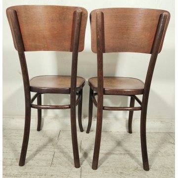 Fischel SET 6 SEDIA ANTICA LEGNO Stampato FAGGIO CURVATO tipo Thonet CHAIR