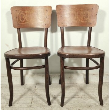 Fischel SET 6 SEDIA ANTICA LEGNO Stampato FAGGIO CURVATO tipo Thonet CHAIR