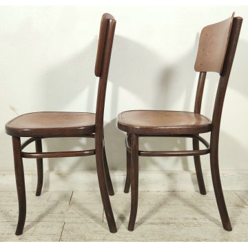 Fischel SET 6 SEDIA ANTICA LEGNO Stampato FAGGIO CURVATO tipo Thonet CHAIR