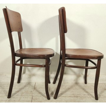 Fischel SET 6 SEDIA ANTICA LEGNO Stampato FAGGIO CURVATO tipo Thonet CHAIR