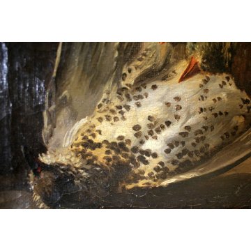 QUADRO DIPINTO OLIO TELA NATURA MORTA CACCIAGIONE CACCIA VOLATILI PRIMO '900