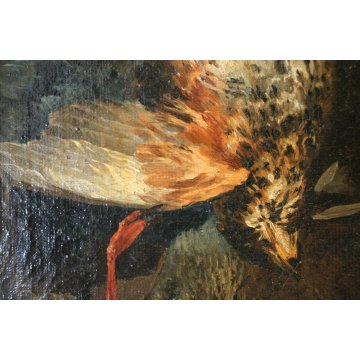 QUADRO DIPINTO OLIO TELA NATURA MORTA CACCIAGIONE CACCIA VOLATILI PRIMO '900