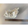 STATUINA PORCELLANA BIANCA GRUPPO CAVALIERE CANE da CACCIA 17x16 cm/h FRANCIA