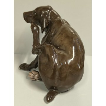 ANTICA STATUA CERAMICA Galluba & Hofmann EPOCA 900 scultura FIGURA Cane Setter