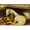ANTICO QUADRO DIPINTO OLIO su RAME RIPROD. "The Arab Tent" Edwin Henry Landseer