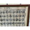 ANTICA STAMPA INCISIONE G. M. Tagliaferri QUADRO CRONOLOGICO DEI PAPI Ritratto