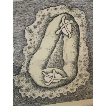 LITOGRAFIA Giuseppe Viviani DOLCI PASQUALI 1963 Stampa Multiplo Numerata 90/190