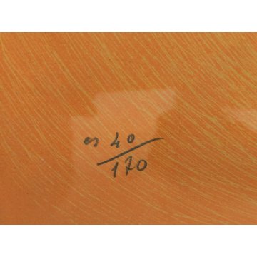 LITOGRAFIA Giuseppe Viviani CAGNOLINI 1963 Stampa Multiplo Numerata 40/170