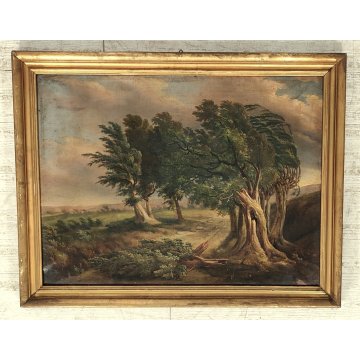 ANTICO QUADRO DIPINTO olio tela PAESAGGIO CAMPAGNA Alberi Bufera CORNICE DORATA