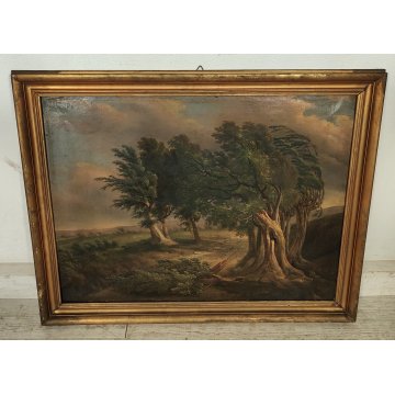 ANTICO QUADRO DIPINTO olio tela PAESAGGIO CAMPAGNA Alberi Bufera CORNICE DORATA