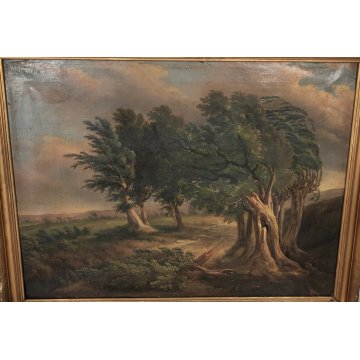ANTICO QUADRO DIPINTO olio tela PAESAGGIO CAMPAGNA Alberi Bufera CORNICE DORATA