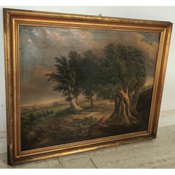 ANTICO QUADRO DIPINTO olio tela PAESAGGIO CAMPAGNA Alberi Bufera CORNICE DORATA