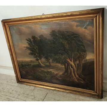 ANTICO QUADRO DIPINTO olio tela PAESAGGIO CAMPAGNA Alberi Bufera CORNICE DORATA
