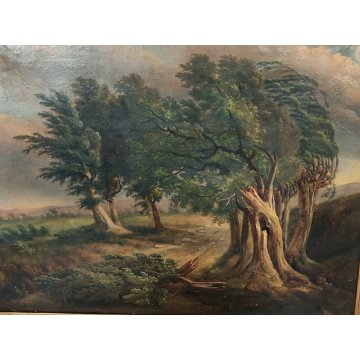 ANTICO QUADRO DIPINTO olio tela PAESAGGIO CAMPAGNA Alberi Bufera CORNICE DORATA