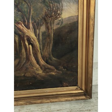 ANTICO QUADRO DIPINTO olio tela PAESAGGIO CAMPAGNA Alberi Bufera CORNICE DORATA
