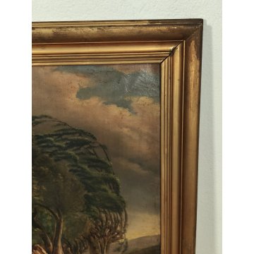ANTICO QUADRO DIPINTO olio tela PAESAGGIO CAMPAGNA Alberi Bufera CORNICE DORATA