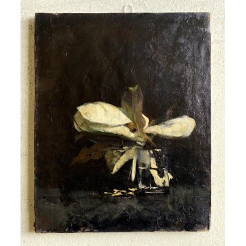 ANTICO QUADRO OLIO Giovanni Beltrami NATURA MORTA FIORE MAGNOLIA SCAPIGLIATURA