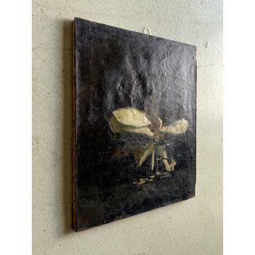 ANTICO QUADRO OLIO Giovanni Beltrami NATURA MORTA FIORE MAGNOLIA SCAPIGLIATURA
