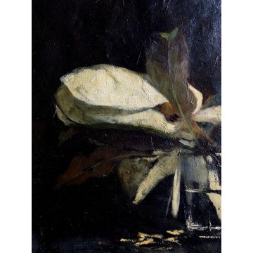 ANTICO QUADRO OLIO Giovanni Beltrami NATURA MORTA FIORE MAGNOLIA SCAPIGLIATURA