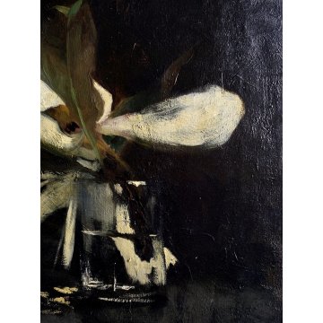 ANTICO QUADRO OLIO Giovanni Beltrami NATURA MORTA FIORE MAGNOLIA SCAPIGLIATURA