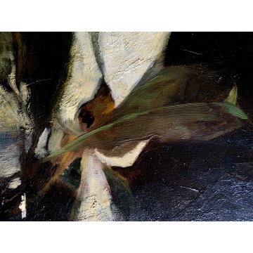ANTICO QUADRO OLIO Giovanni Beltrami NATURA MORTA FIORE MAGNOLIA SCAPIGLIATURA