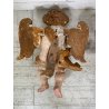 ANTICA COPPIA PUTTI ANGELI BAROCCHI CHERUBINI SCULTURA LEGNO 60cm/h XVII sec