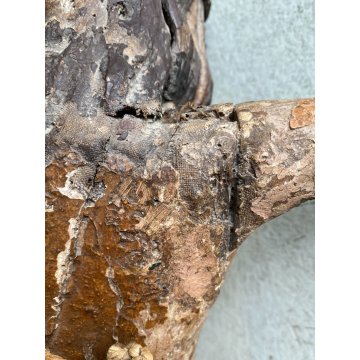 ANTICO CORPUS CHRISTI CRISTO CROCIFISSO 77 cm/h LEGNO POLICROMO ARTE SACRA '600