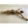 ANTICO CORPUS CHRISTI CRISTO CROCIFISSO 80cm/h LEGNO SCOLPITO DIPINTO EPOCA '600