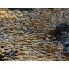 ANTICA CHIAVE CARRO SICILIANO FREGIO LEGNO SCOLPITO BASSORILIEVO POLICROMO '900