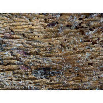 ANTICA CHIAVE CARRO SICILIANO FREGIO LEGNO SCOLPITO BASSORILIEVO POLICROMO '900