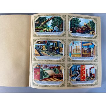 ALBUM FIGURINE Liebig 40 SERIE RACCOGLITORE VERDE 1 FIG. MANCANTE 1953/61 ITA