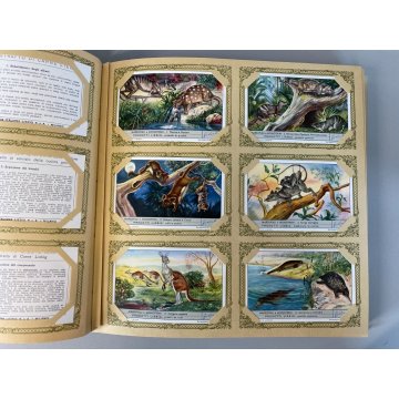ALBUM FIGURINE Liebig 40 SERIE RACCOGLITORE VERDE 1 FIG. MANCANTE 1953/61 ITA