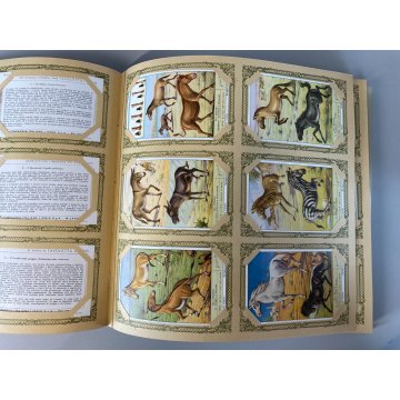 ALBUM FIGURINE Liebig 40 SERIE RACCOGLITORE VERDE 1 FIG. MANCANTE 1953/61 ITA