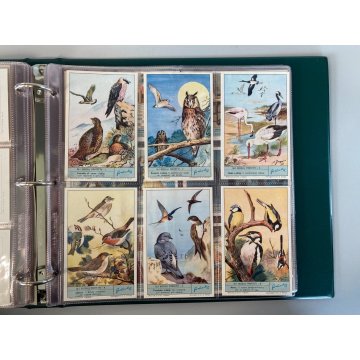 ALBUM FIGURINE Liebig 14 SERIE RACCOGLITORE ANELLI+10 PAG NUOVE VUOTE '61/64 ITA