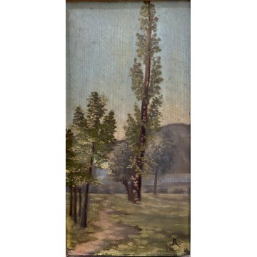 ANTICO DIPINTO OLIO TAVOL A CA Achille Cattaneo PAESAGGIO LACUSTRE VEDUTA '900