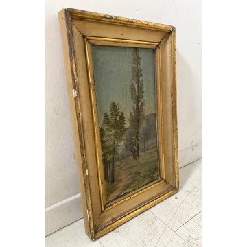 ANTICO DIPINTO OLIO TAVOL A CA Achille Cattaneo PAESAGGIO LACUSTRE VEDUTA '900