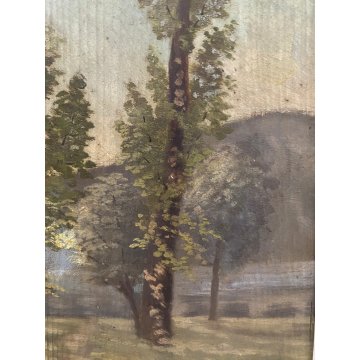 ANTICO DIPINTO OLIO TAVOL A CA Achille Cattaneo PAESAGGIO LACUSTRE VEDUTA '900