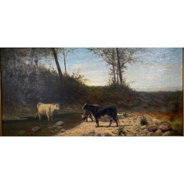 GRANDE QUADRO OLIO TELA C. Pagano PAESAGGIO MONTANO RUSCELLO MUCCHE PASCOLO '900