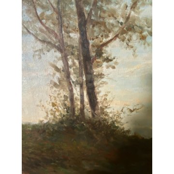 GRANDE QUADRO OLIO TELA C. Pagano PAESAGGIO MONTANO RUSCELLO MUCCHE PASCOLO '900
