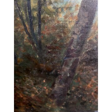 GRANDE QUADRO OLIO TELA C. Pagano PAESAGGIO MONTANO RUSCELLO MUCCHE PASCOLO '900