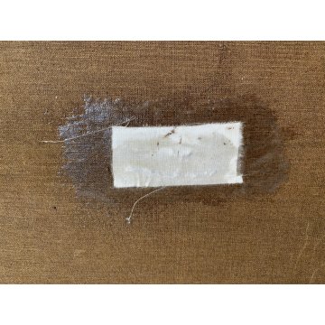 GRANDE QUADRO OLIO TELA C. Pagano PAESAGGIO MONTANO RUSCELLO MUCCHE PASCOLO '900