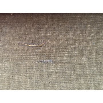 GRANDE QUADRO OLIO TELA C. Pagano PAESAGGIO MONTANO RUSCELLO MUCCHE PASCOLO '900